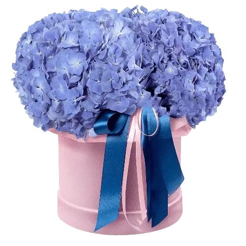 Цветы в коробке Небеса