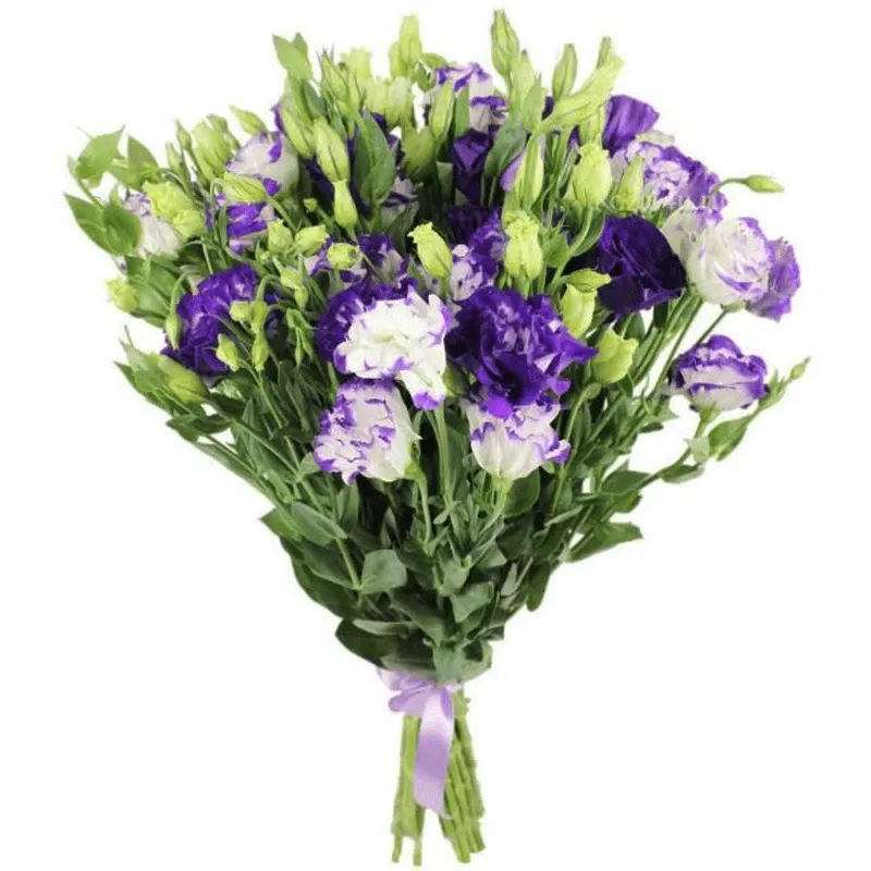 Эустомы фиолетово-белые