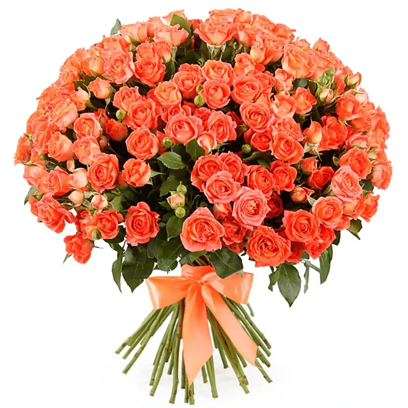 Розы Кустовые оранжевые