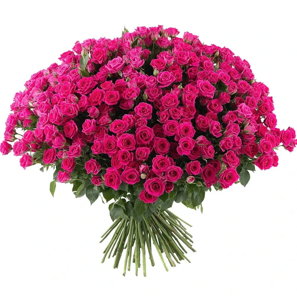 Розы Кустовые розовые